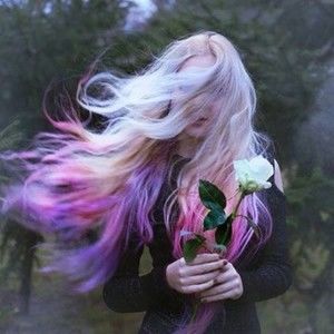 Meet your Posher, Posh